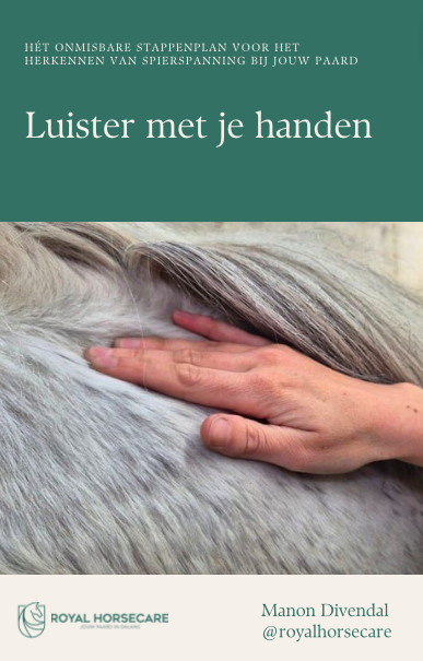 Ebook Luister met je handen