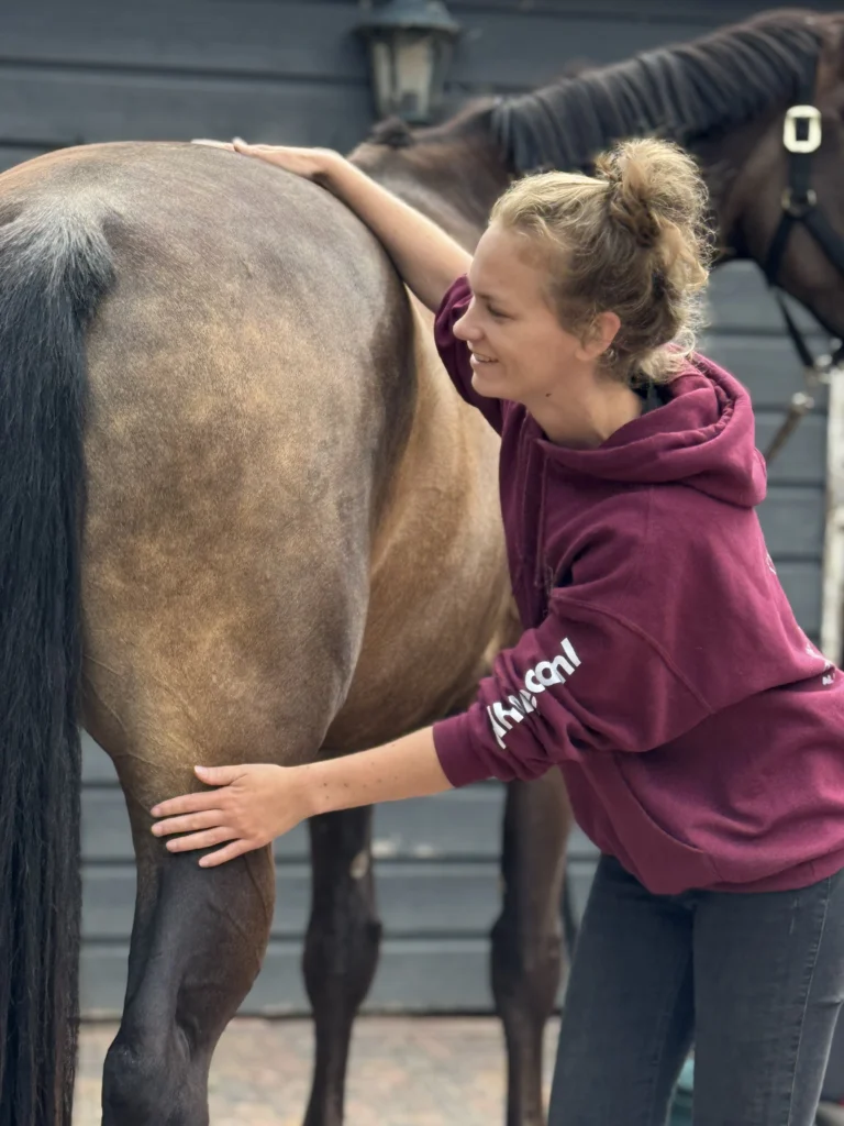 Royal Horsecare Paardenmassage