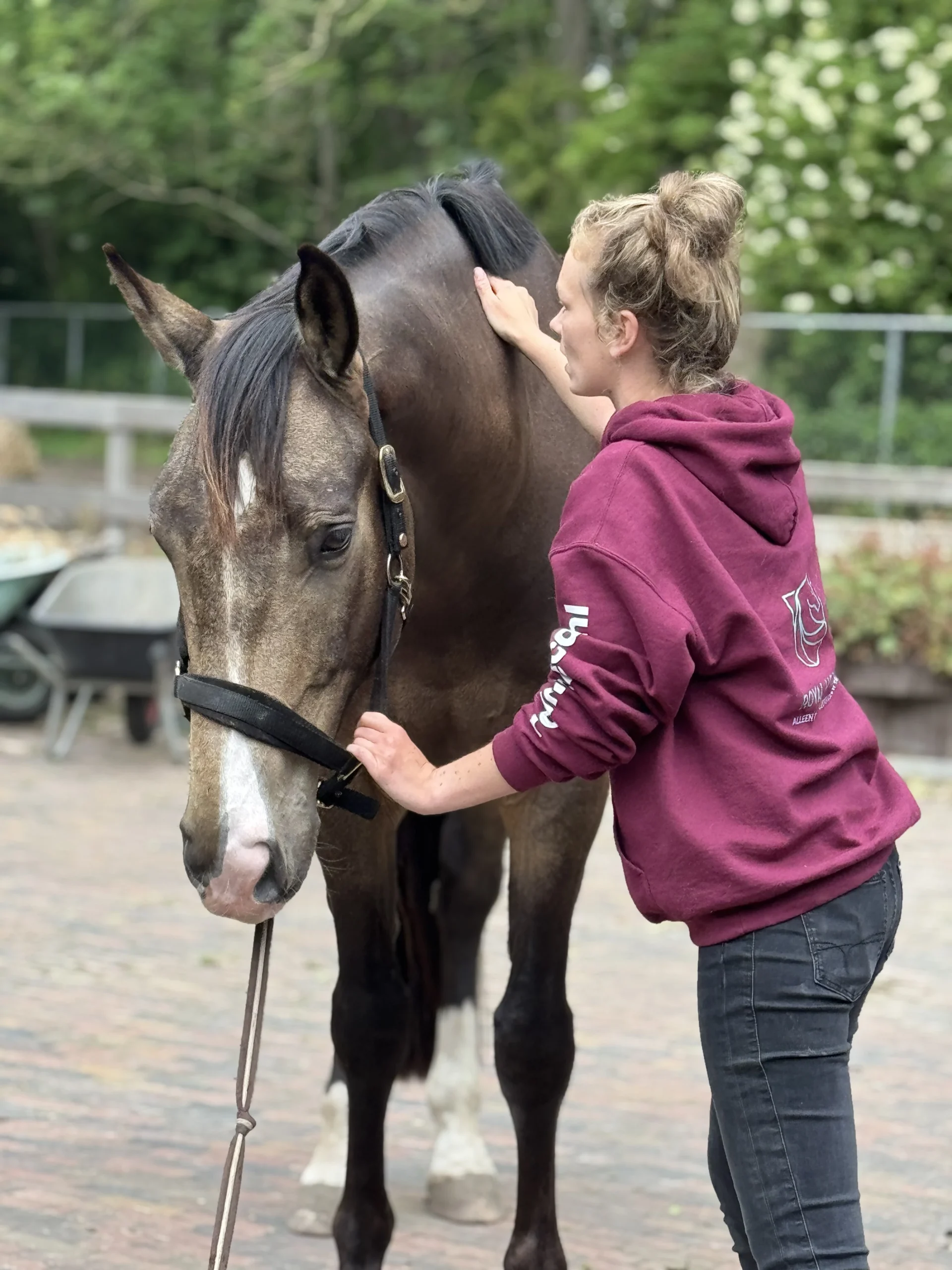 Royal Horsecare Paardenmassage