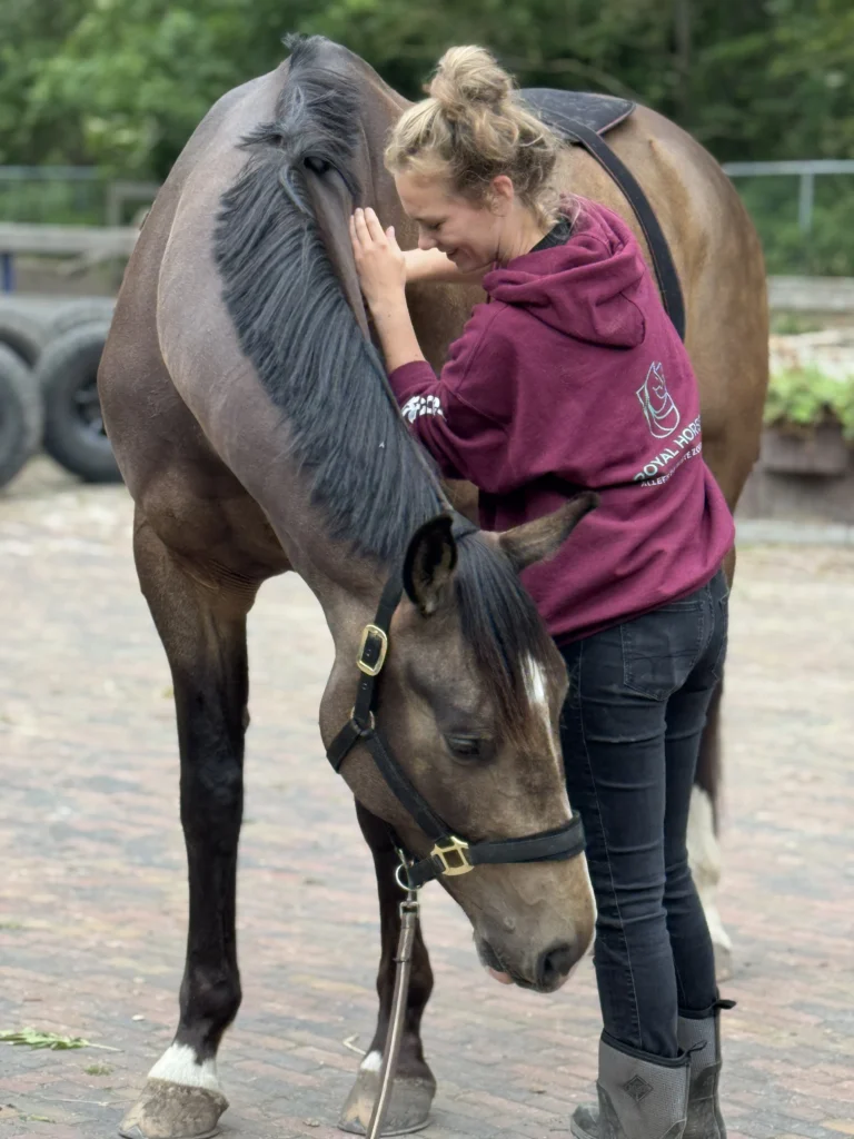 Royal Horsecare Paardenmassage