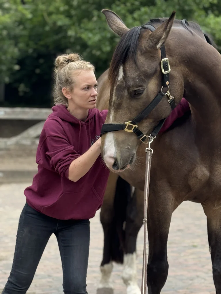 Royal Horsecare paardenmassage