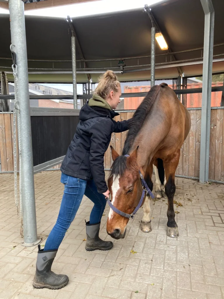 Royal Horsecare Paardenmassage