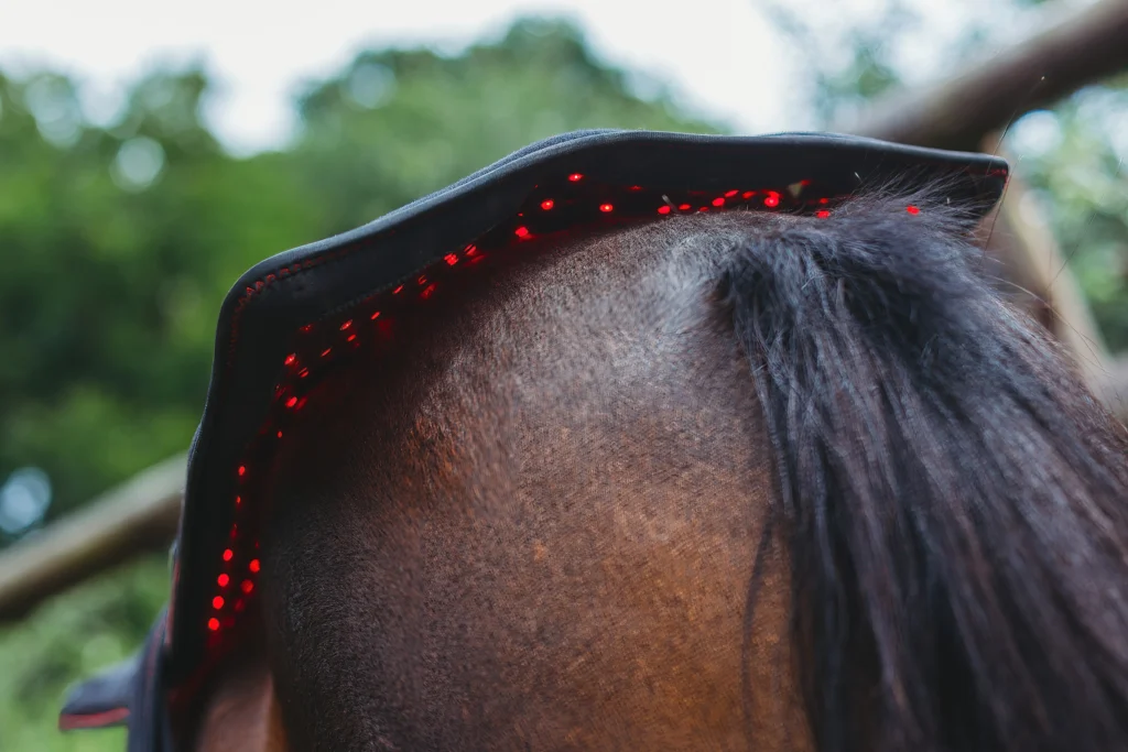 Paardenmassage CellKick rugpad roodlichttherapie