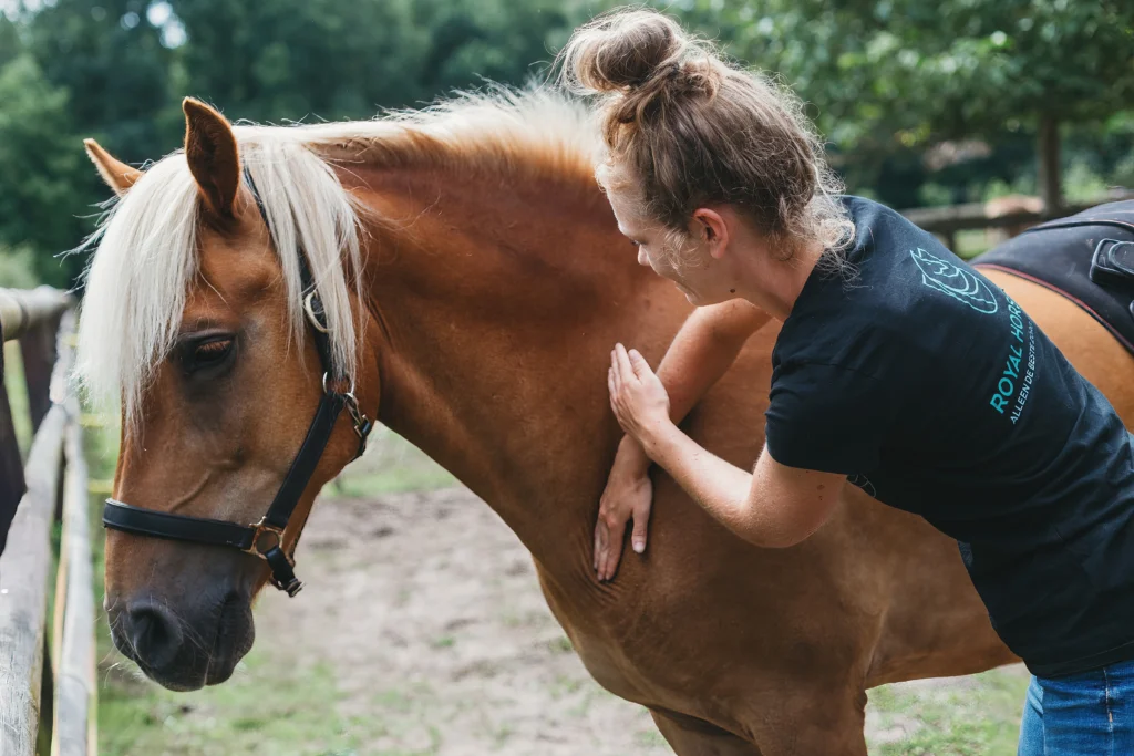 Paardensportmassage royal horsecare