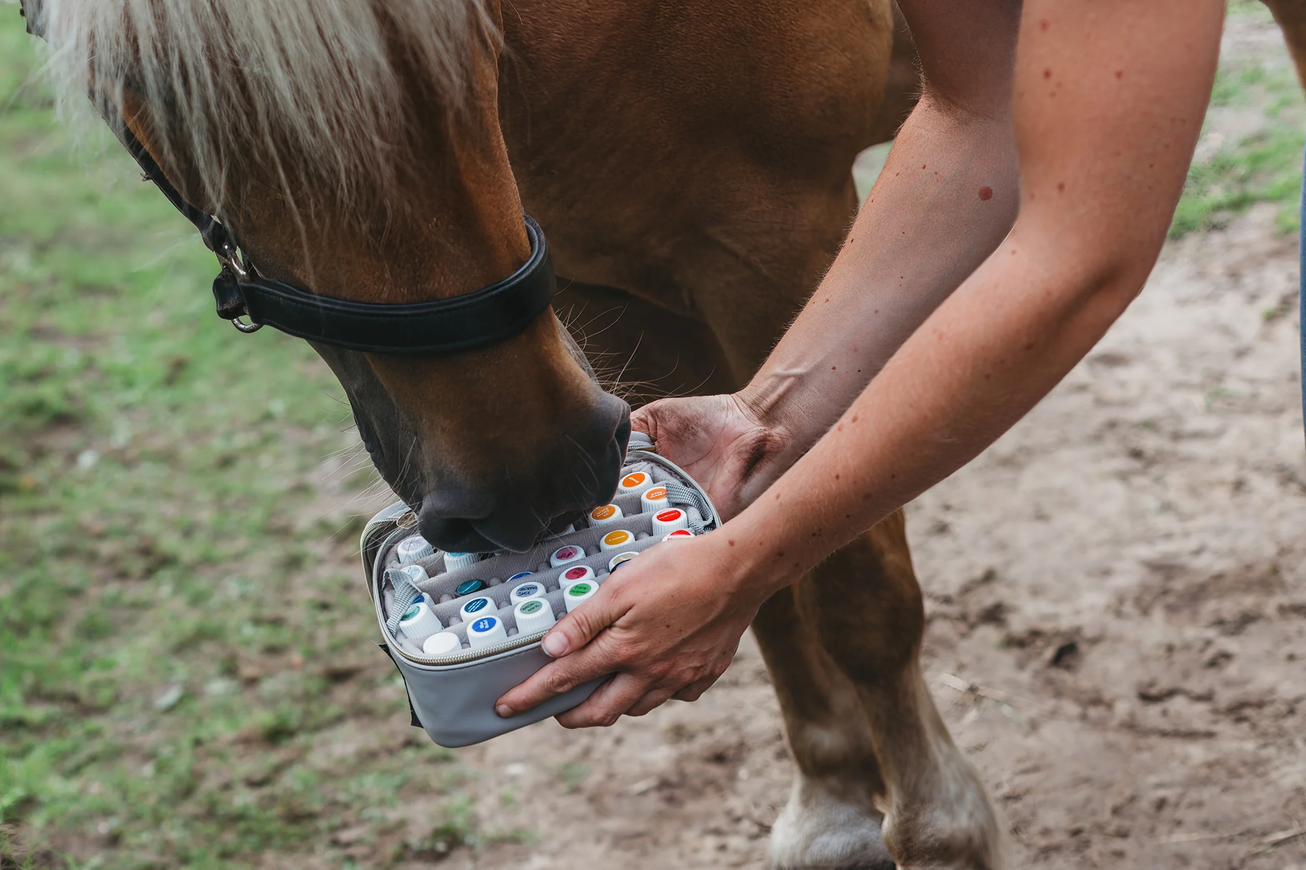 Paardenmassage essentiele olie