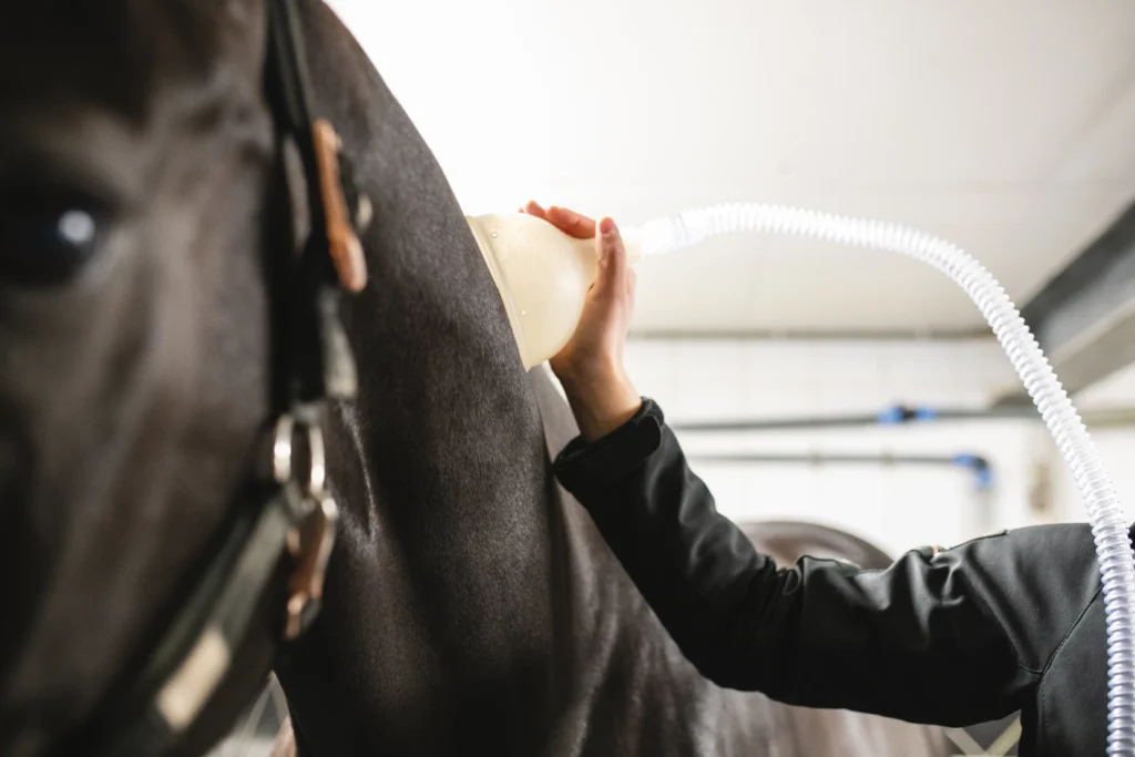 Nano Cellcare therapie paard hals