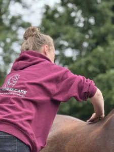 Royal Horsecare paardenmassage