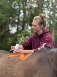 Royal Horsecare paardenmassage tapen